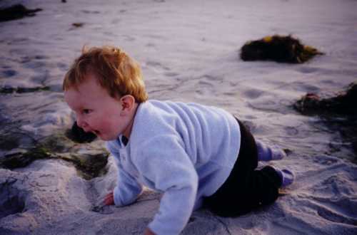 Crawling on the Beach