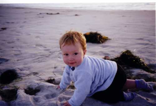 Crawling on the Beach II